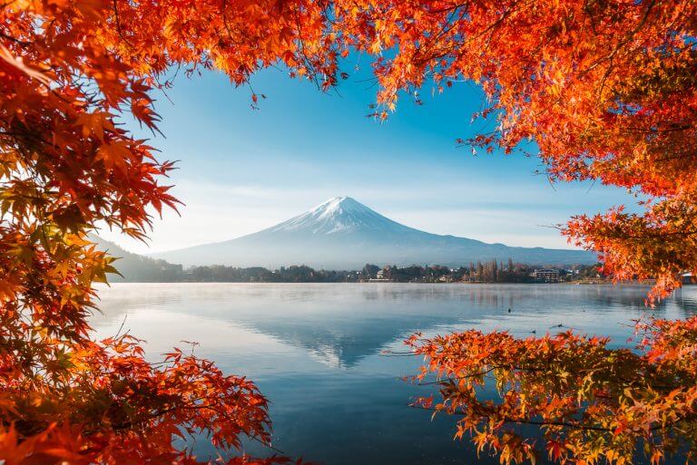 Viaggio Fotografico in Giappone in autunno 2024 - FotoTerra